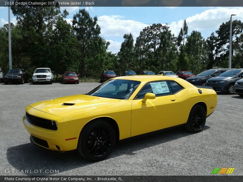 Yellow Jacket / Black 2018 Dodge Challenger SXT