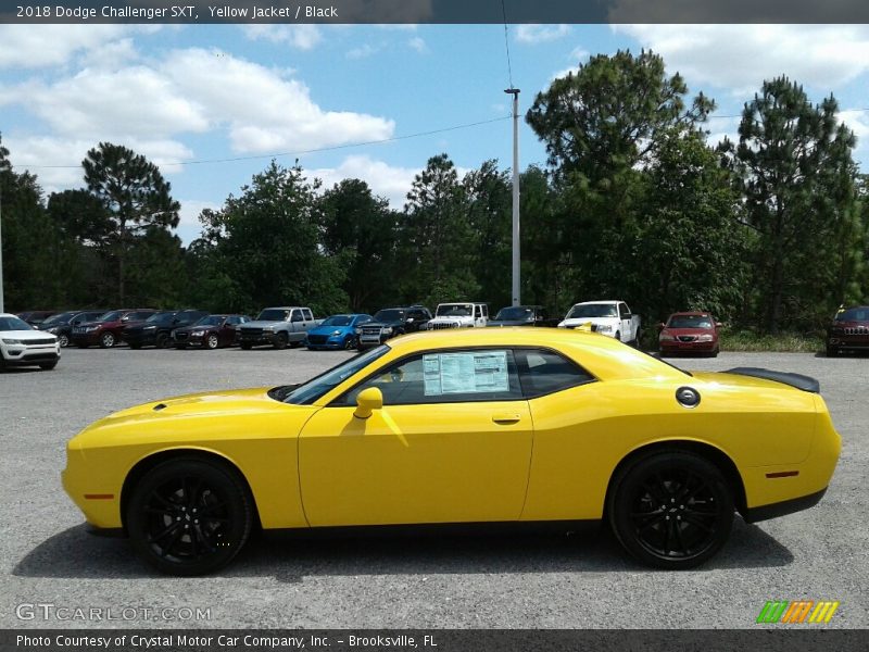 Yellow Jacket / Black 2018 Dodge Challenger SXT