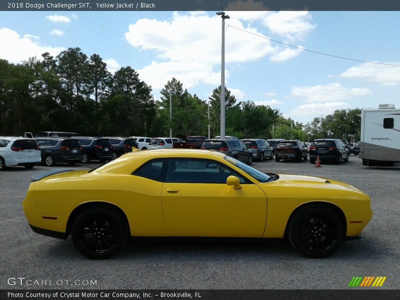 Yellow Jacket / Black 2018 Dodge Challenger SXT