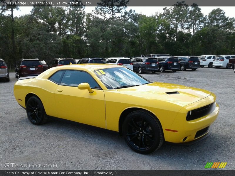 Yellow Jacket / Black 2018 Dodge Challenger SXT