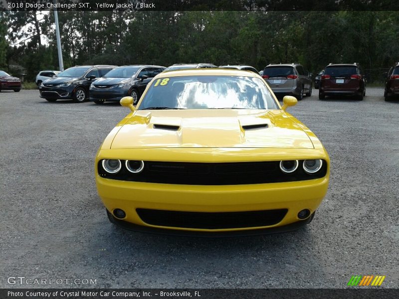 Yellow Jacket / Black 2018 Dodge Challenger SXT