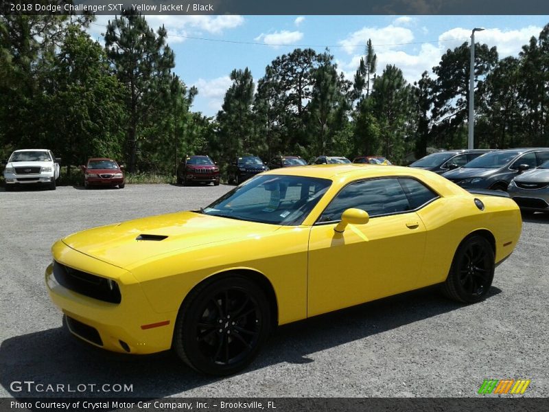Yellow Jacket / Black 2018 Dodge Challenger SXT