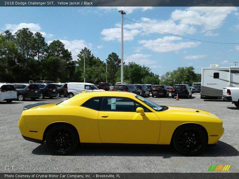 Yellow Jacket / Black 2018 Dodge Challenger SXT