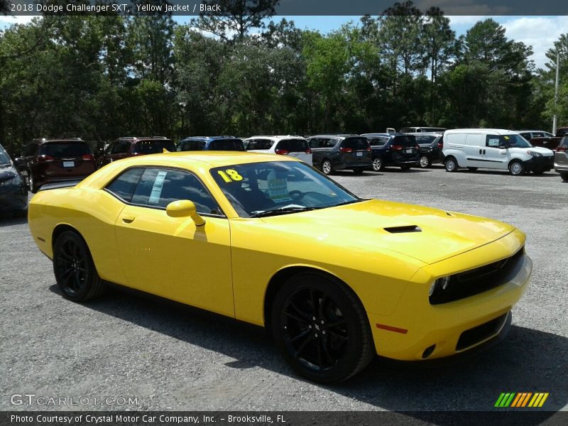 Yellow Jacket / Black 2018 Dodge Challenger SXT