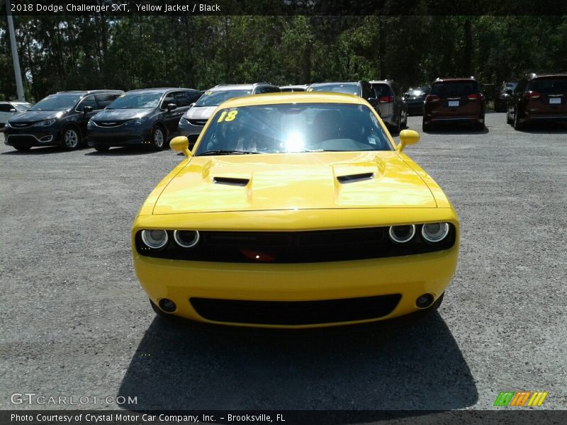 Yellow Jacket / Black 2018 Dodge Challenger SXT