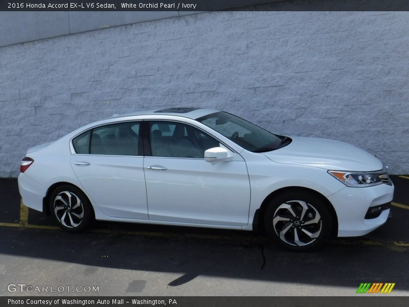 White Orchid Pearl / Ivory 2016 Honda Accord EX-L V6 Sedan