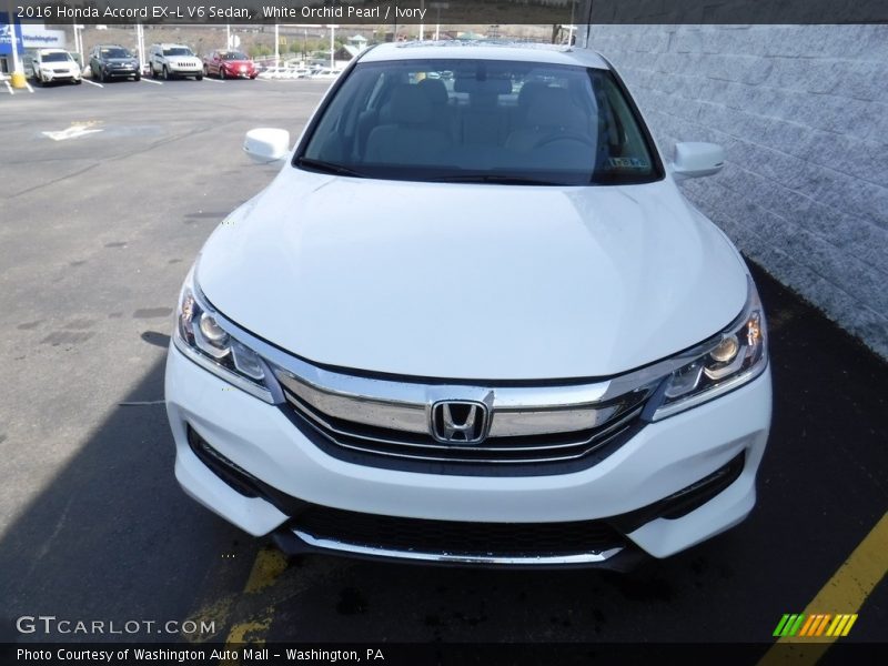 White Orchid Pearl / Ivory 2016 Honda Accord EX-L V6 Sedan