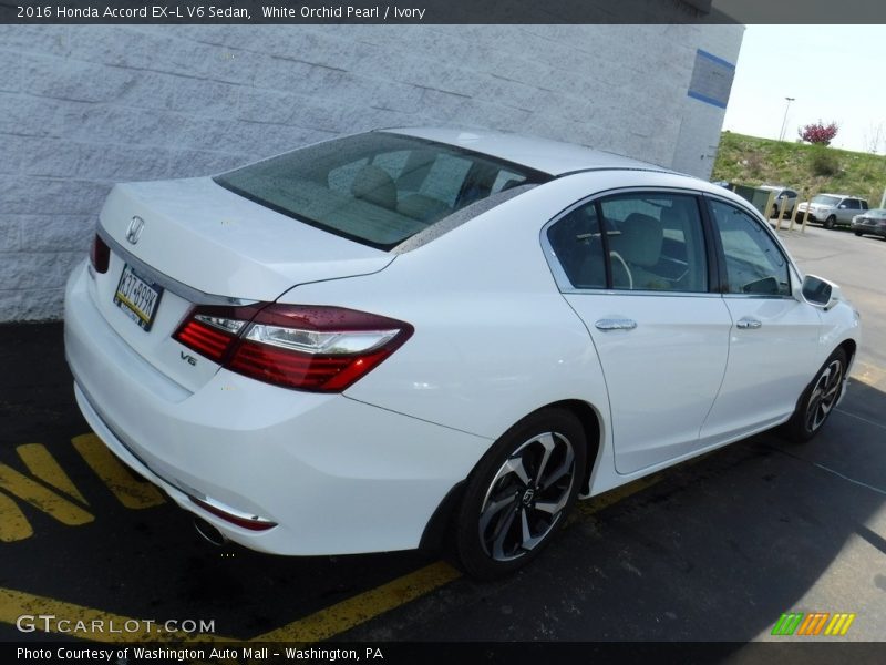 White Orchid Pearl / Ivory 2016 Honda Accord EX-L V6 Sedan
