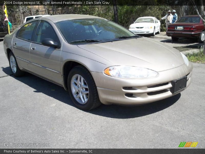 Light Almond Pearl Metallic / Dark Slate Gray 2004 Dodge Intrepid SE