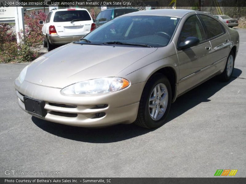 Light Almond Pearl Metallic / Dark Slate Gray 2004 Dodge Intrepid SE