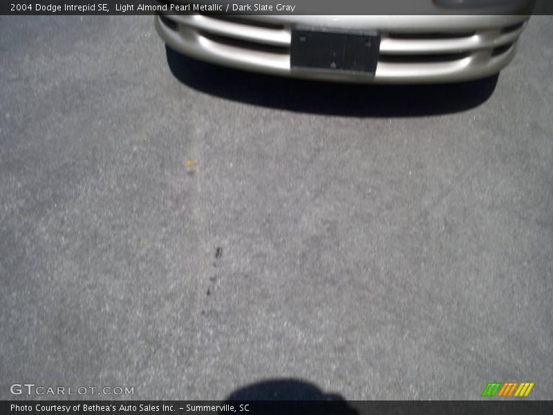 Light Almond Pearl Metallic / Dark Slate Gray 2004 Dodge Intrepid SE