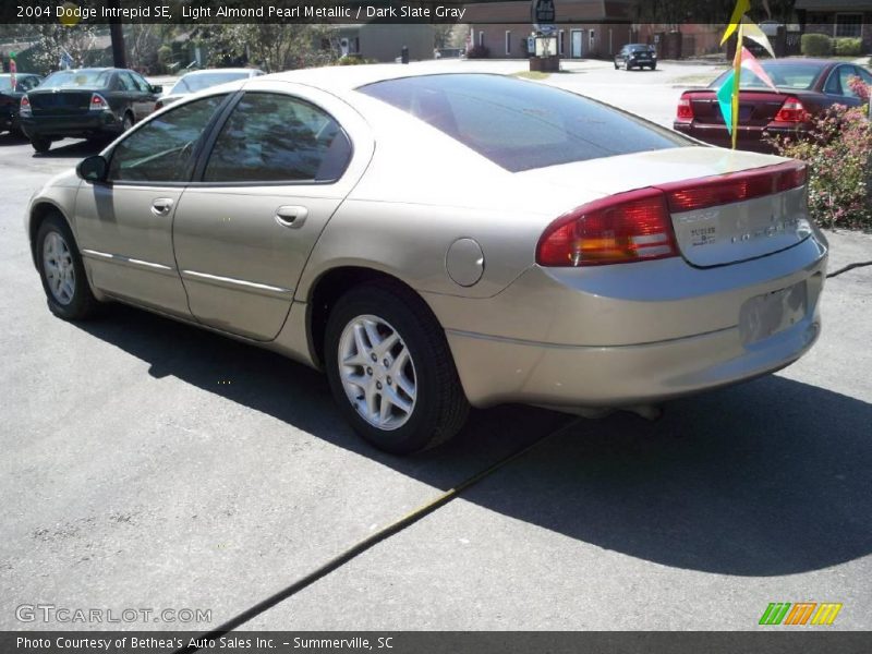 Light Almond Pearl Metallic / Dark Slate Gray 2004 Dodge Intrepid SE