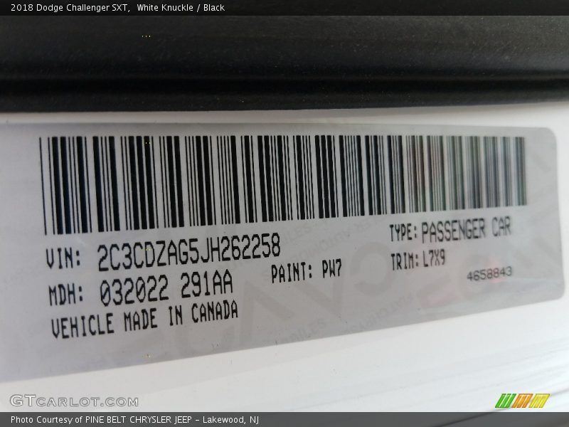 White Knuckle / Black 2018 Dodge Challenger SXT