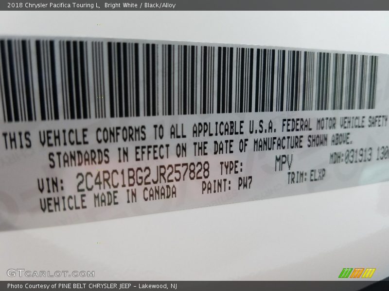 Bright White / Black/Alloy 2018 Chrysler Pacifica Touring L