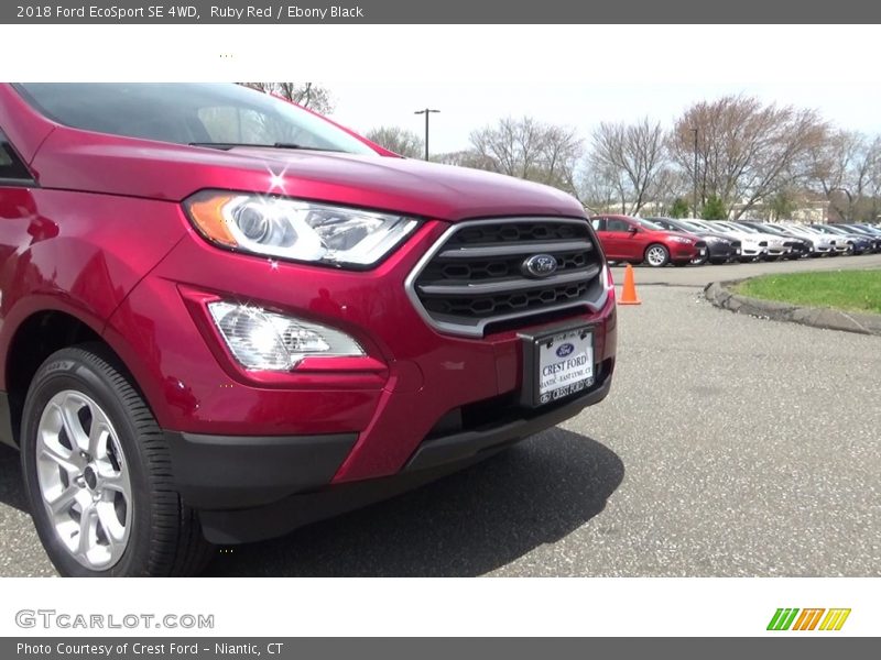 Ruby Red / Ebony Black 2018 Ford EcoSport SE 4WD