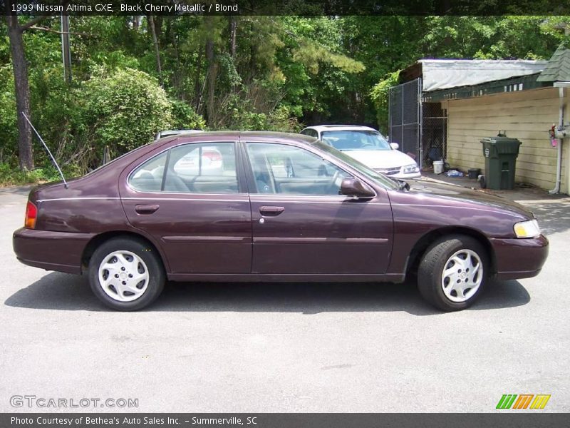 Black Cherry Metallic / Blond 1999 Nissan Altima GXE