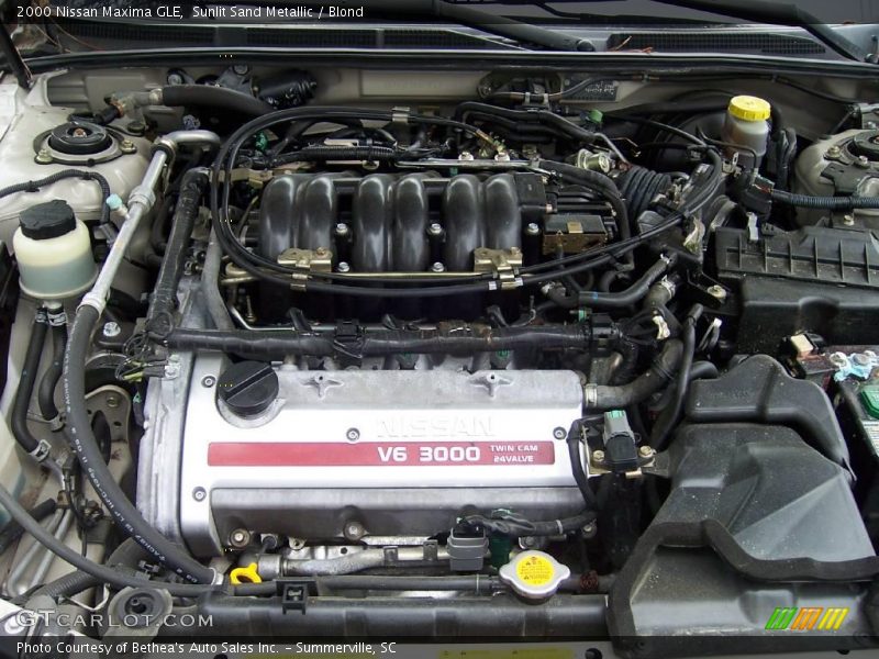 Sunlit Sand Metallic / Blond 2000 Nissan Maxima GLE