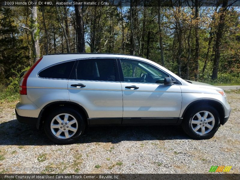 Alabaster Silver Metallic / Gray 2009 Honda CR-V EX 4WD