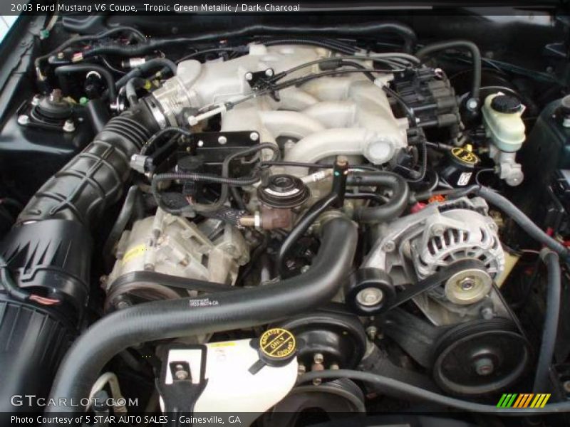 Tropic Green Metallic / Dark Charcoal 2003 Ford Mustang V6 Coupe