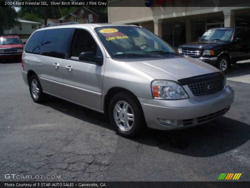 Silver Birch Metallic / Flint Grey 2004 Ford Freestar SEL