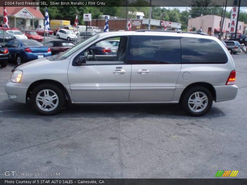 Silver Birch Metallic / Flint Grey 2004 Ford Freestar SEL
