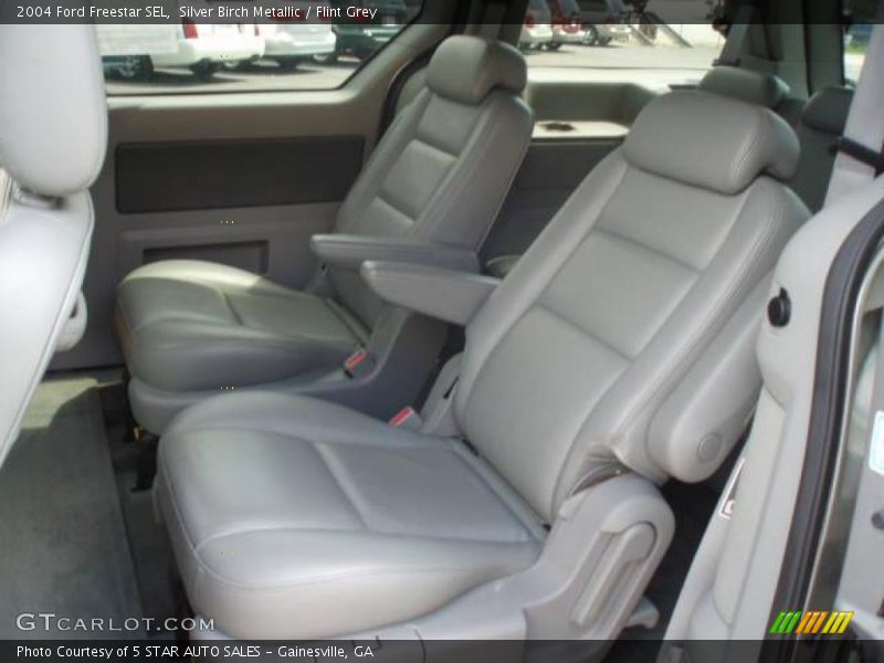 Silver Birch Metallic / Flint Grey 2004 Ford Freestar SEL