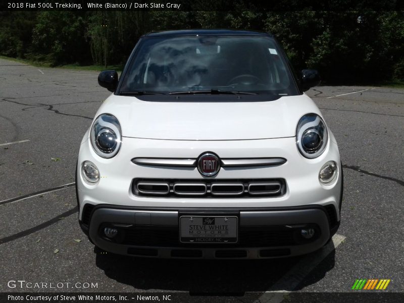 White (Bianco) / Dark Slate Gray 2018 Fiat 500L Trekking