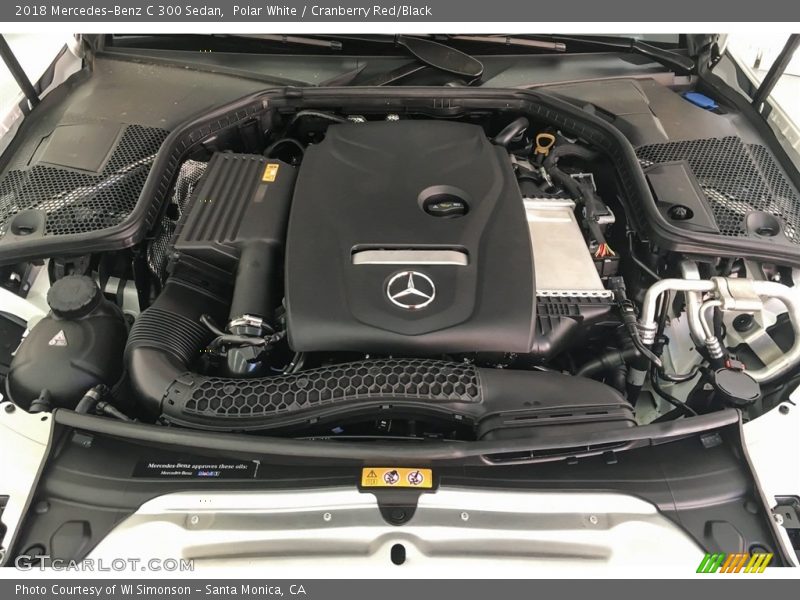 Polar White / Cranberry Red/Black 2018 Mercedes-Benz C 300 Sedan