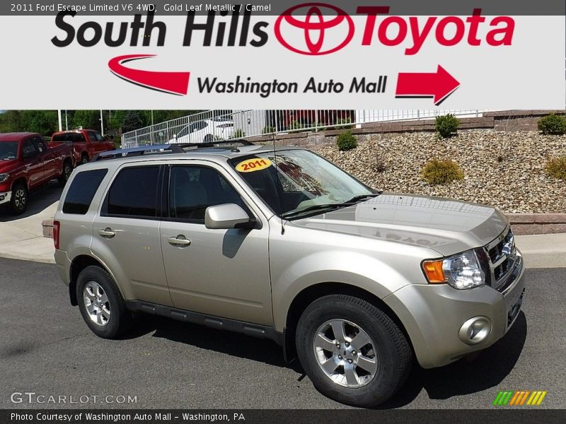 Gold Leaf Metallic / Camel 2011 Ford Escape Limited V6 4WD