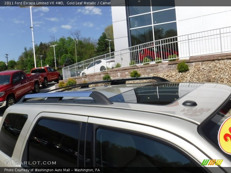 Gold Leaf Metallic / Camel 2011 Ford Escape Limited V6 4WD