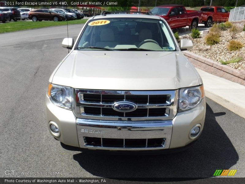 Gold Leaf Metallic / Camel 2011 Ford Escape Limited V6 4WD