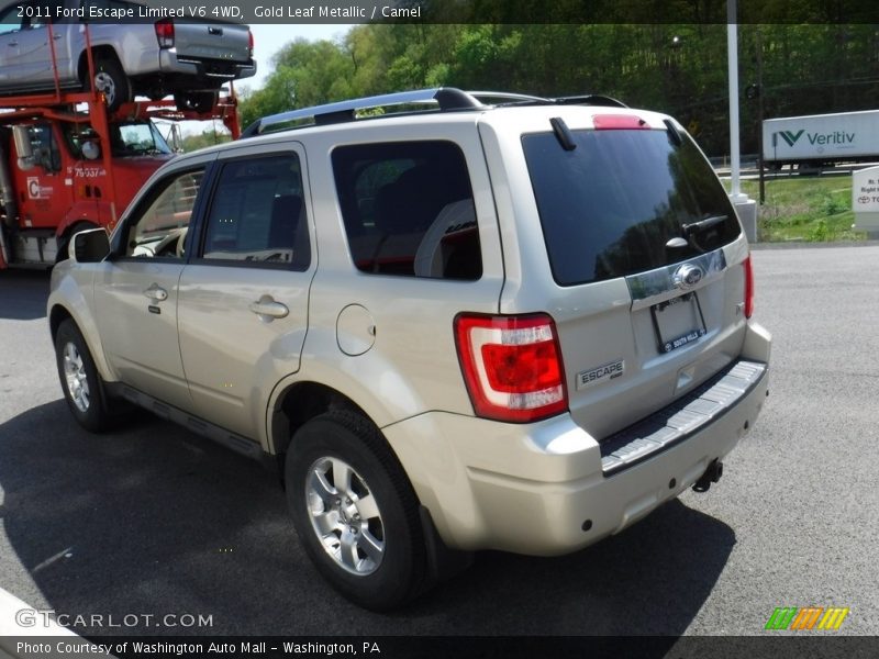 Gold Leaf Metallic / Camel 2011 Ford Escape Limited V6 4WD