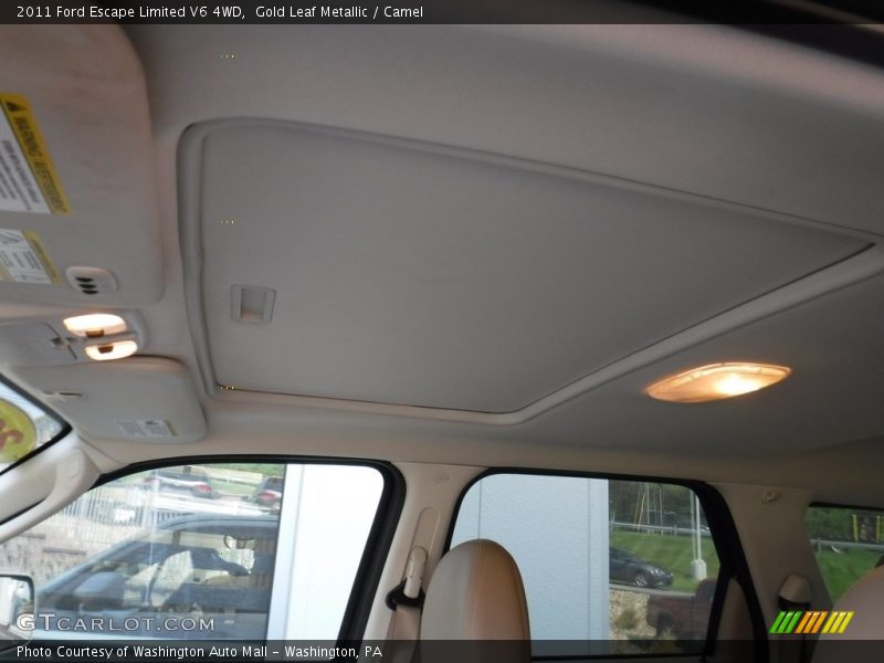 Gold Leaf Metallic / Camel 2011 Ford Escape Limited V6 4WD