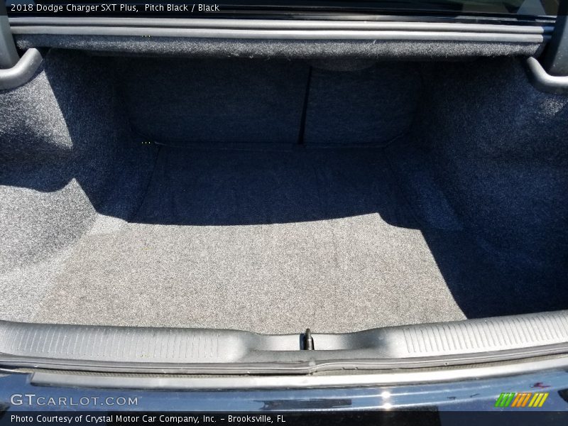 Pitch Black / Black 2018 Dodge Charger SXT Plus