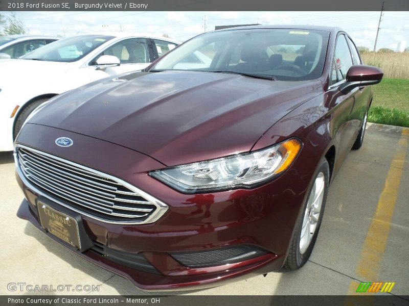 Burgundy Velvet / Ebony 2018 Ford Fusion SE