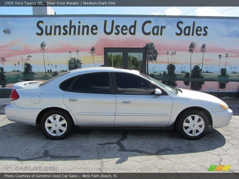 Silver Frost Metallic / Medium/Dark Flint 2005 Ford Taurus SEL