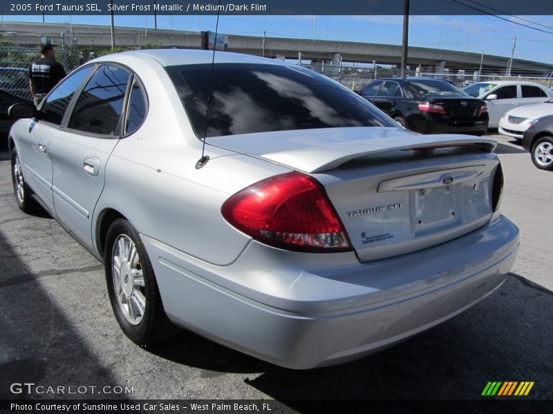 Silver Frost Metallic / Medium/Dark Flint 2005 Ford Taurus SEL