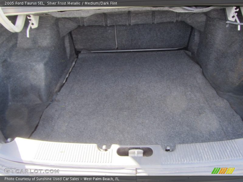 Silver Frost Metallic / Medium/Dark Flint 2005 Ford Taurus SEL