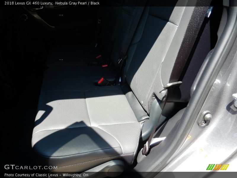 Nebula Gray Pearl / Black 2018 Lexus GX 460 Luxury