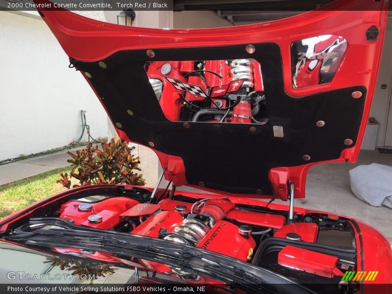 Torch Red / Black 2000 Chevrolet Corvette Convertible