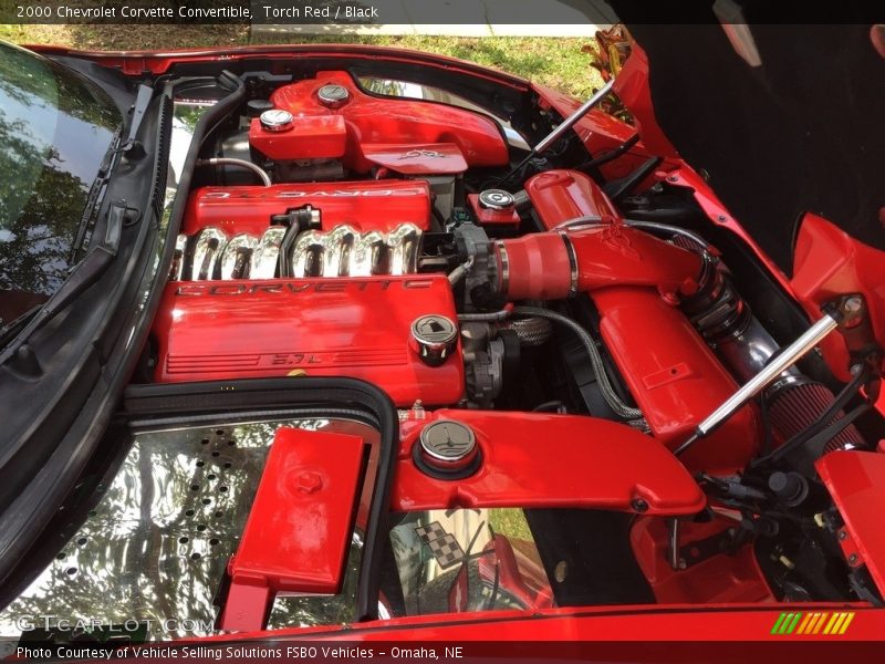 Torch Red / Black 2000 Chevrolet Corvette Convertible
