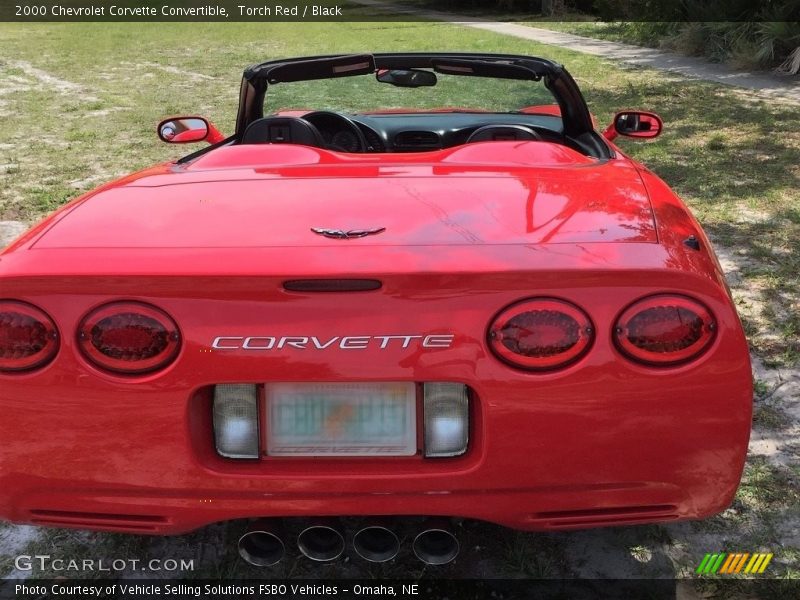 Torch Red / Black 2000 Chevrolet Corvette Convertible