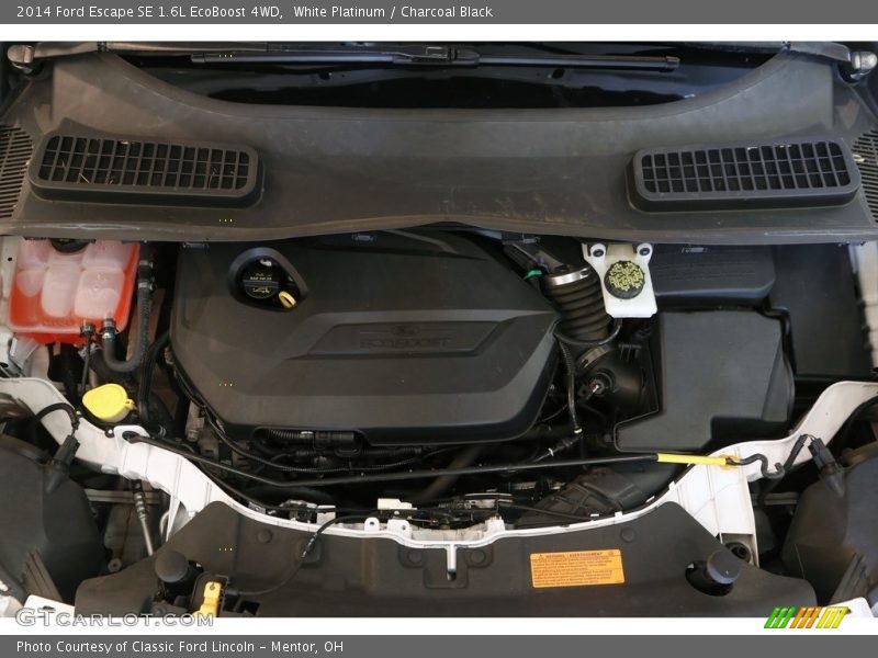 White Platinum / Charcoal Black 2014 Ford Escape SE 1.6L EcoBoost 4WD