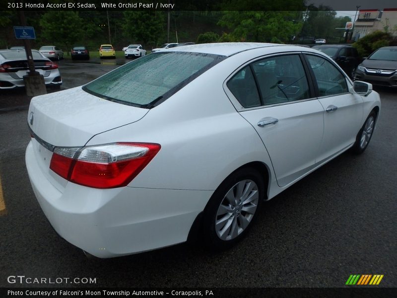 White Orchid Pearl / Ivory 2013 Honda Accord EX Sedan