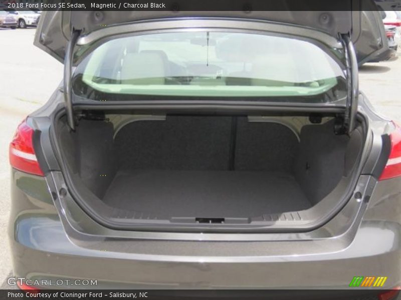 Magnetic / Charcoal Black 2018 Ford Focus SE Sedan