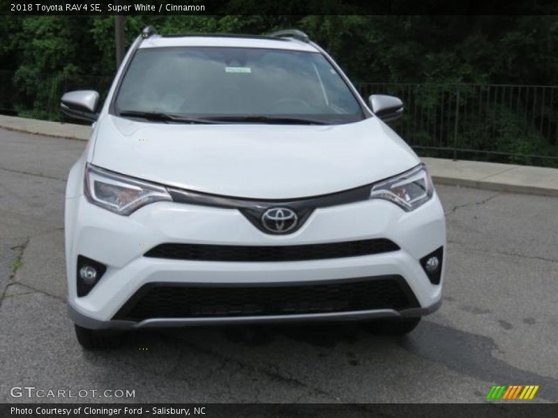 Super White / Cinnamon 2018 Toyota RAV4 SE