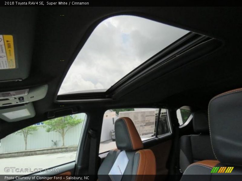 Super White / Cinnamon 2018 Toyota RAV4 SE