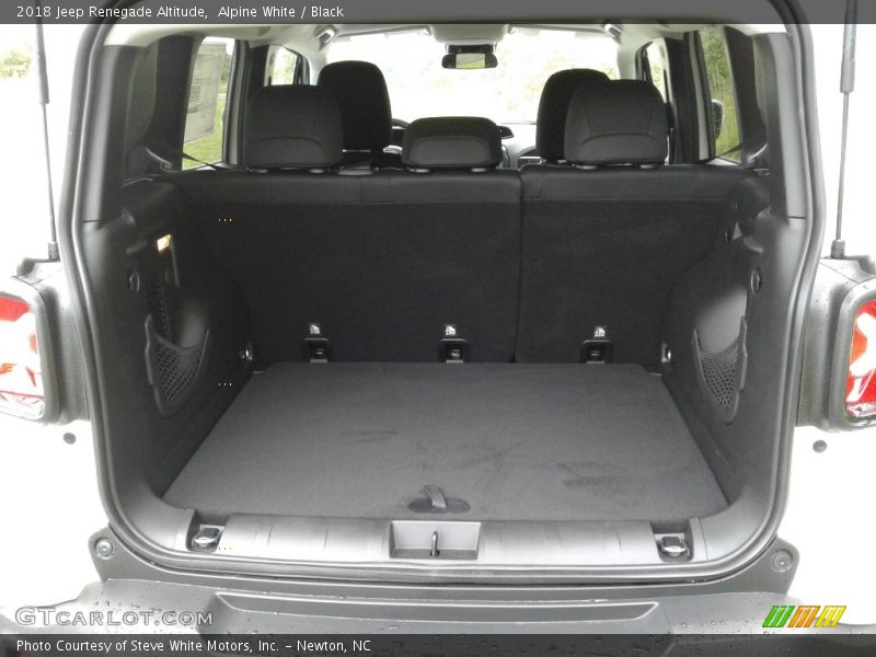 Alpine White / Black 2018 Jeep Renegade Altitude