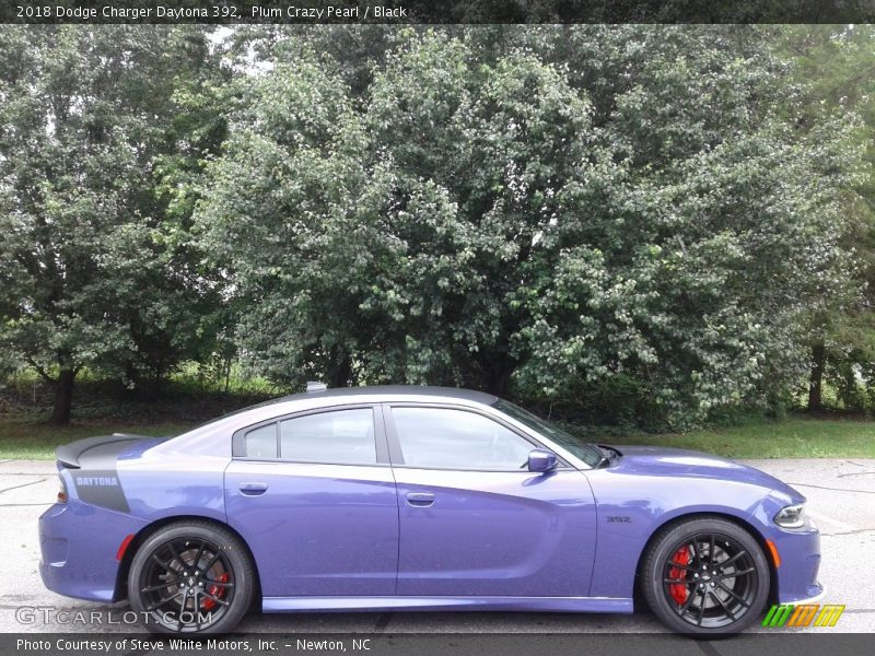 Plum Crazy Pearl / Black 2018 Dodge Charger Daytona 392