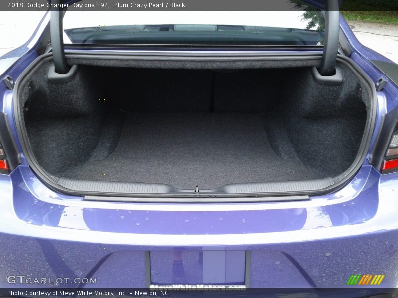 Plum Crazy Pearl / Black 2018 Dodge Charger Daytona 392